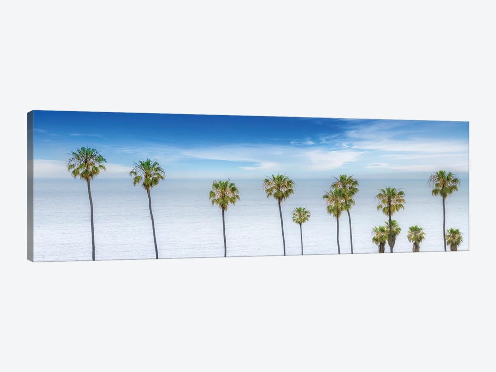 Lovely Palm Trees At The Ocean by Melanie Viola 1-piece Art Print