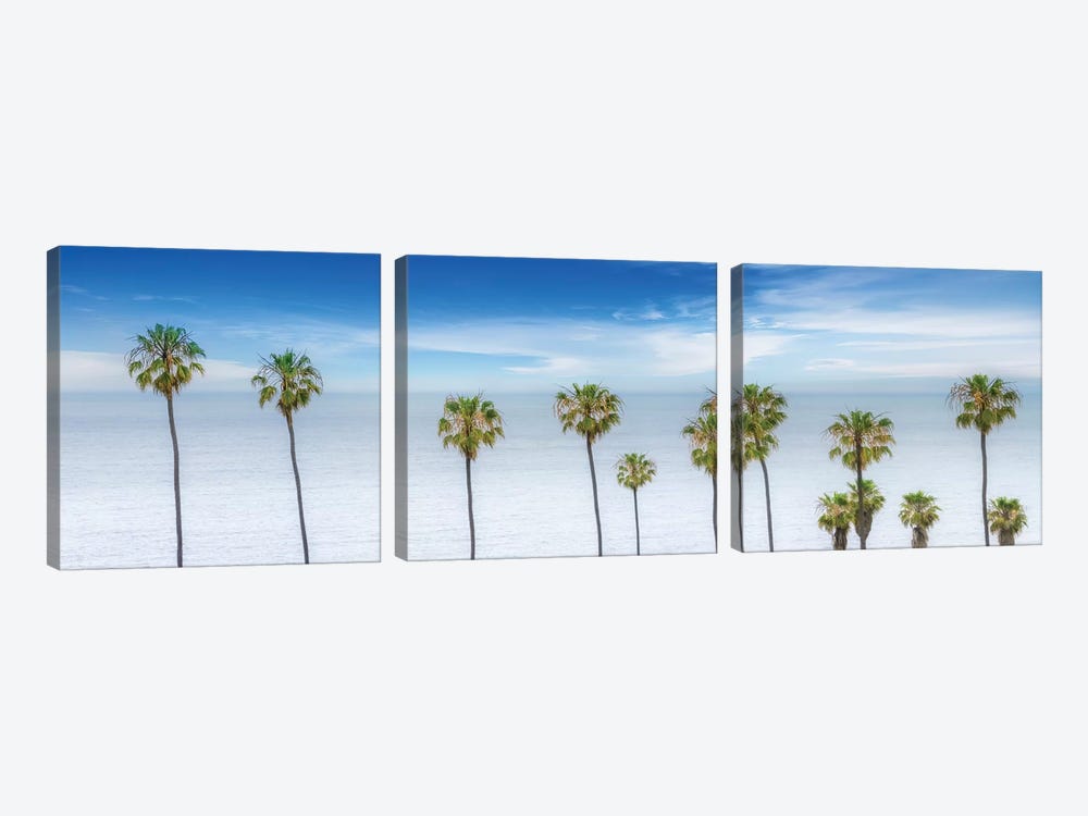 Lovely Palm Trees At The Ocean by Melanie Viola 3-piece Canvas Art Print