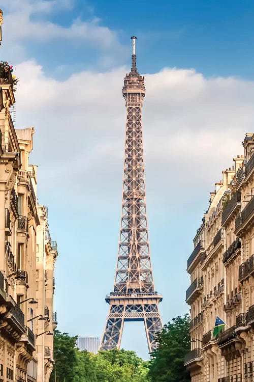 Parisian Flair by Melanie Viola wall art