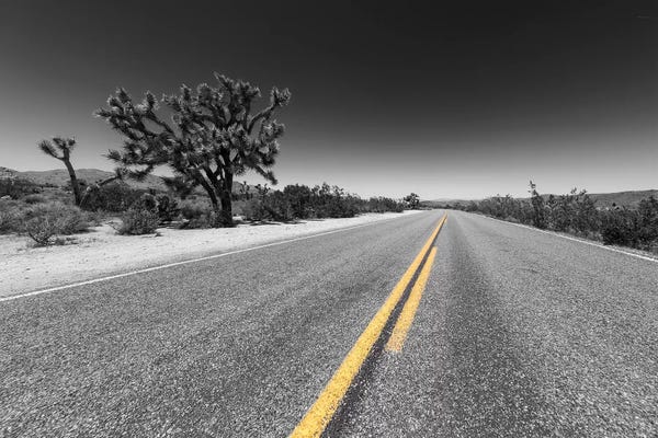 Color Pop Photography: Park Boulevard, Joshua Tree National Park by Melanie Viola
