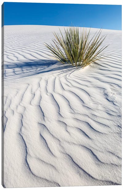 White Sands Dune Canvas Art Print - Desert Landscape Photography