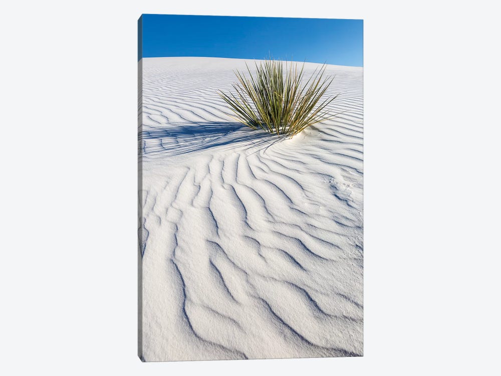 White Sands Dune by Melanie Viola 1-piece Art Print