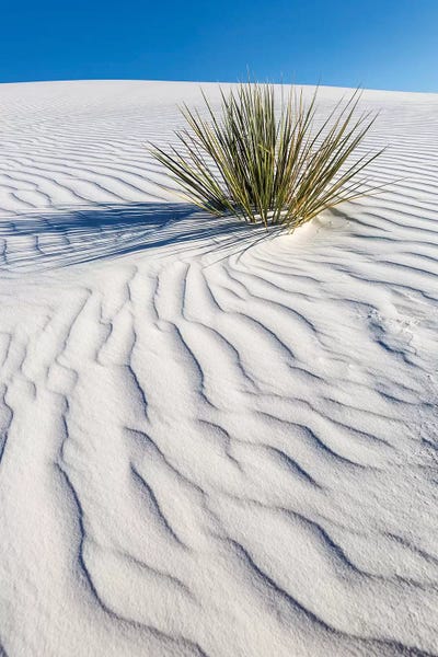 White Sands National Monument: White Sands Dune by Melanie Viola