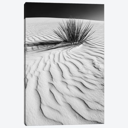White Sands Dune In Black & White Canvas Print #MEV289} by Melanie Viola Canvas Artwork
