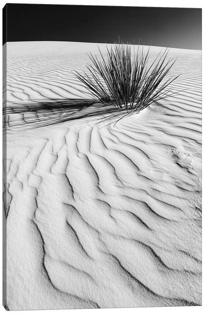 White Sands Dune In Black & White Canvas Art Print - Desert Landscape Photography