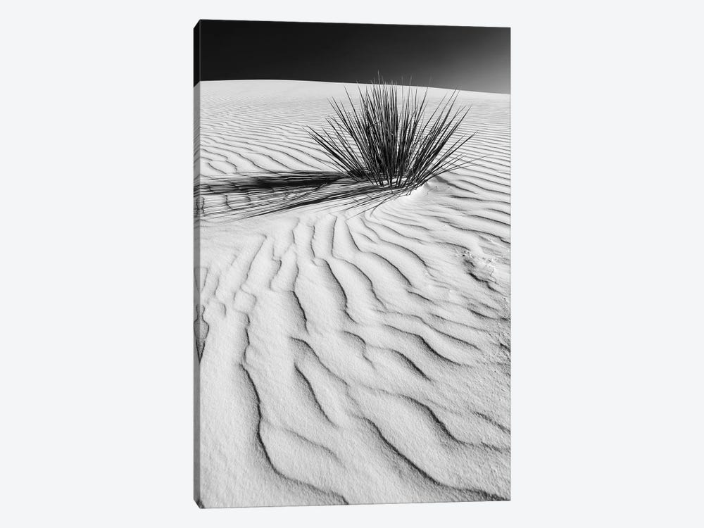 White Sands Dune In Black & White by Melanie Viola 1-piece Canvas Wall Art