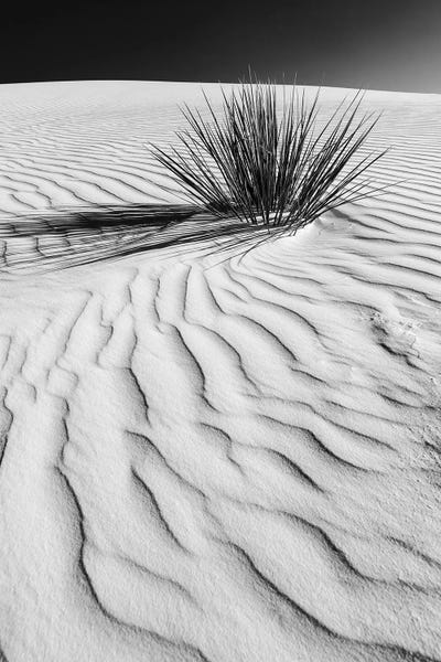 White Sands National Monument: White Sands Dune In Black & White by Melanie Viola