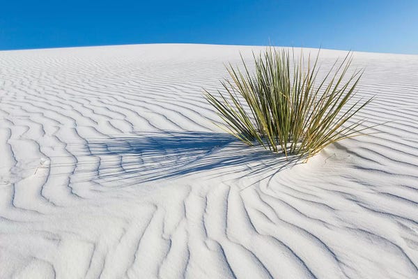White Sands National Monument: White Sands Scenery by Melanie Viola