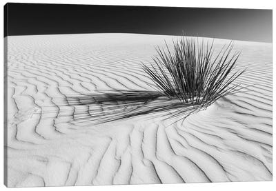 White Sands Scenery In Black & White Canvas Art Print - Desert Landscape Photography