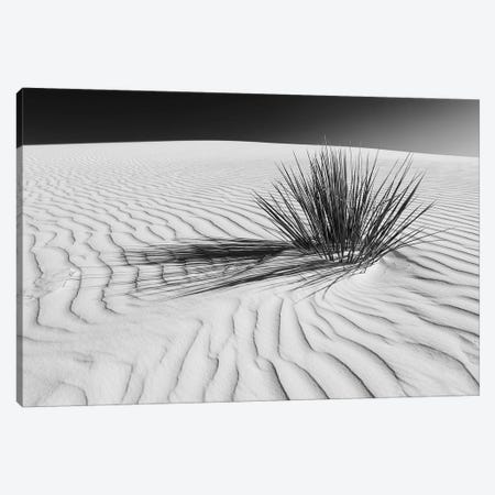 White Sands Scenery In Black & White Canvas Print #MEV291} by Melanie Viola Canvas Art Print