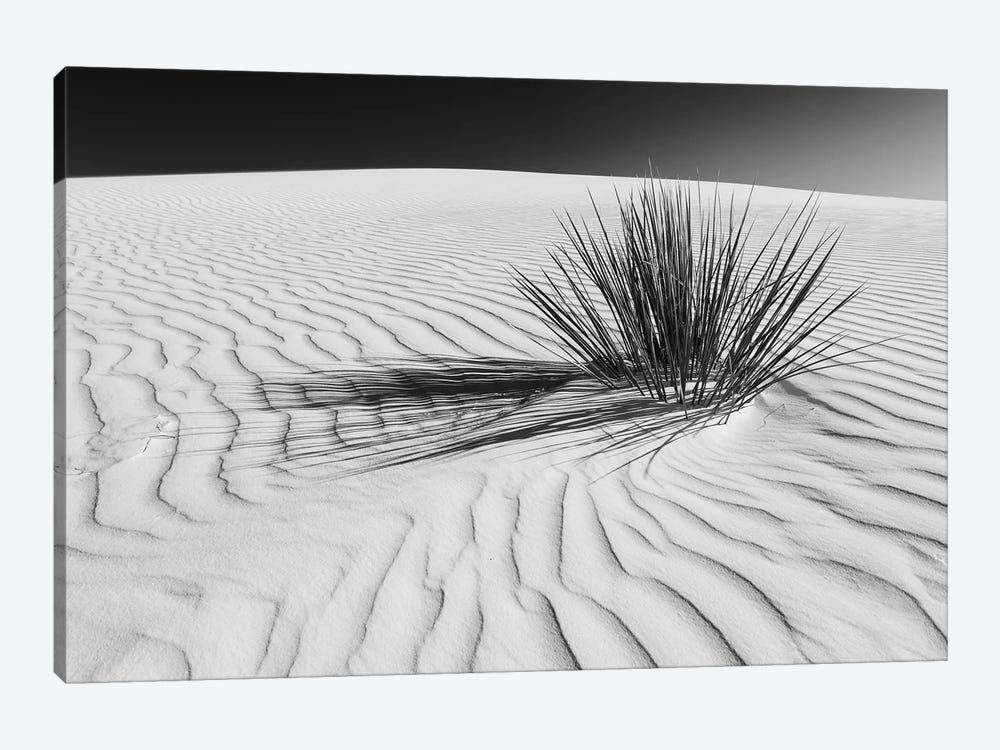 White Sands Scenery In Black & White by Melanie Viola 1-piece Art Print