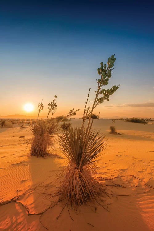 White Sands Sunset