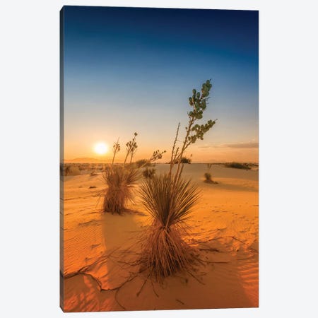 White Sands Sunset Canvas Print #MEV292} by Melanie Viola Art Print