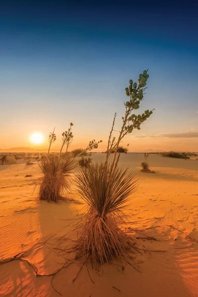 White Sands National Monument: White Sands Sunset by Melanie Viola