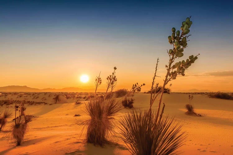 White Sands Sunset Impression