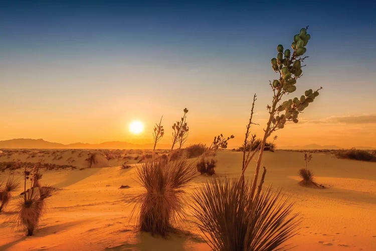 White Sands Sunset Impression