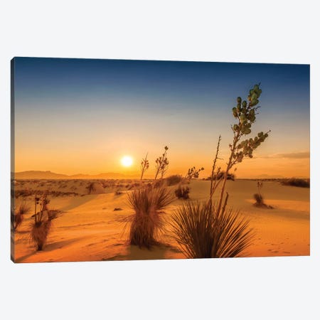 White Sands Sunset Impression Canvas Print #MEV293} by Melanie Viola Canvas Print