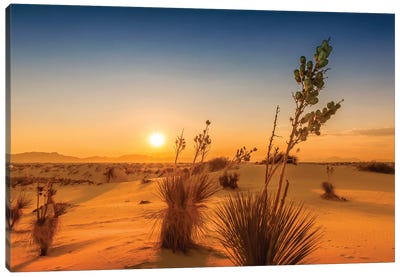 White Sands Sunset Impression Canvas Art Print