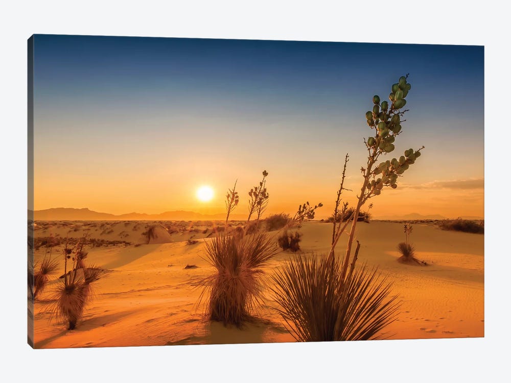 White Sands Sunset Impression by Melanie Viola 1-piece Canvas Art Print