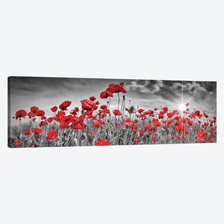 Idyllic Field Of Poppies With Sun | Panorama Canvas Print #MEV316} by Melanie Viola Canvas Print