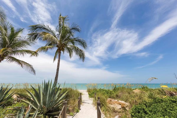 Florida Beaches: Path To The Beach by Melanie Viola