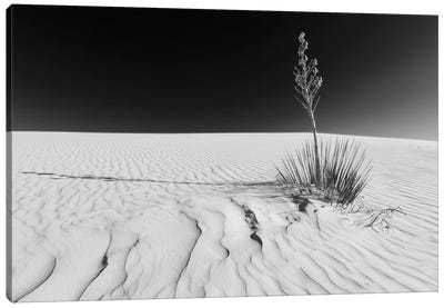White Sands Nature | Monochrome Canvas Art Print - New Mexico Art