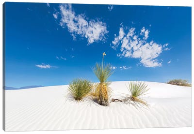 White Sands Scenery Canvas Art Print - Desert Landscape Photography