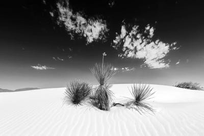 White Sands Scenery | Monochrome by Melanie Viola canvas print