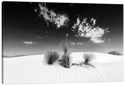White Sands Scenery | Monochrome Canvas Art Print - New Mexico Art