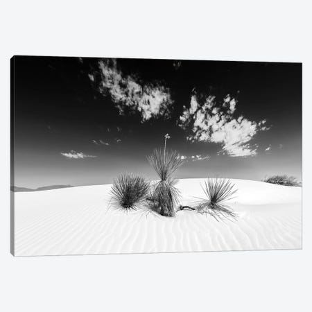 White Sands Scenery | Monochrome Canvas Print #MEV337} by Melanie Viola Art Print