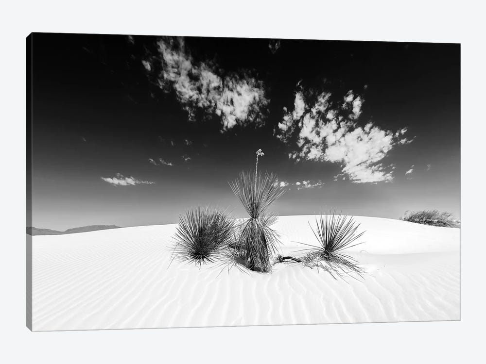 White Sands Scenery | Monochrome by Melanie Viola 1-piece Canvas Artwork