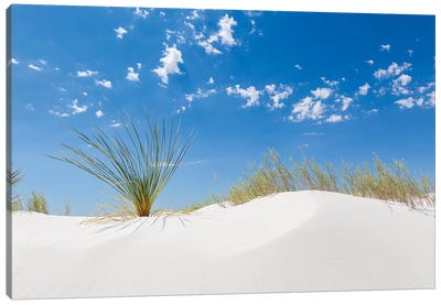 White Sands Minimalistic Canvas Art Print - New Mexico Art