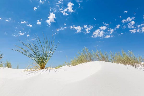 New Mexico: White Sands Minimalistic by Melanie Viola
