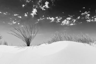 White Sands Minimalistic | Monochrome by Melanie Viola framed wall art