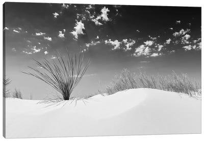 White Sands Minimalistic | Monochrome Canvas Art Print - New Mexico Art