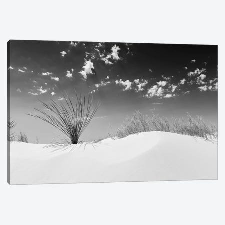 White Sands Minimalistic | Monochrome Canvas Print #MEV339} by Melanie Viola Canvas Artwork