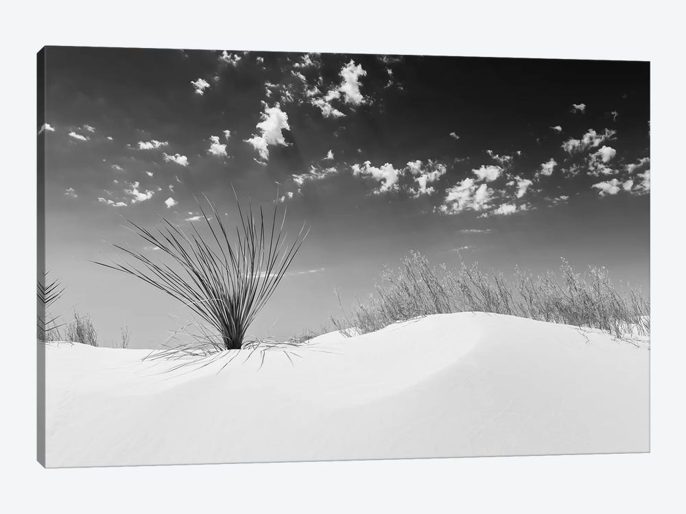 White Sands Minimalistic | Monochrome by Melanie Viola 1-piece Canvas Wall Art