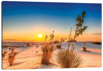 White Sands Lovely Sunset Canvas Art Print - Countryside Art