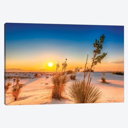 White Sands Lovely Sunset Canvas Print #MEV340} by Melanie Viola Canvas Art Print