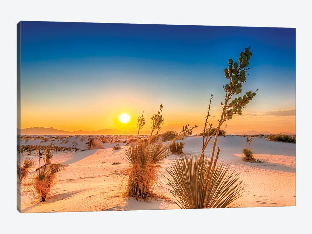 White Sands Lovely Sunset by Melanie Viola 1-piece Canvas Artwork