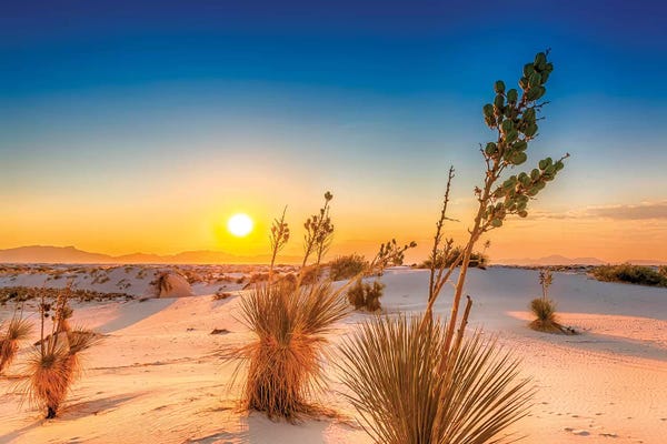White Sands Lovely Sunset