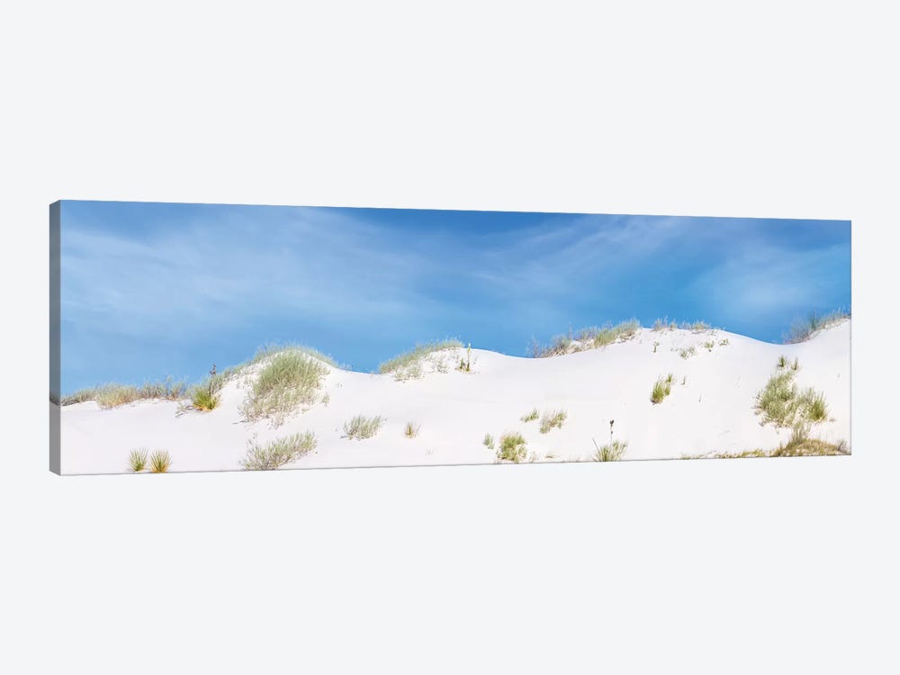 White Sands Gorgeous Panoramic View by Melanie Viola 1-piece Canvas Print