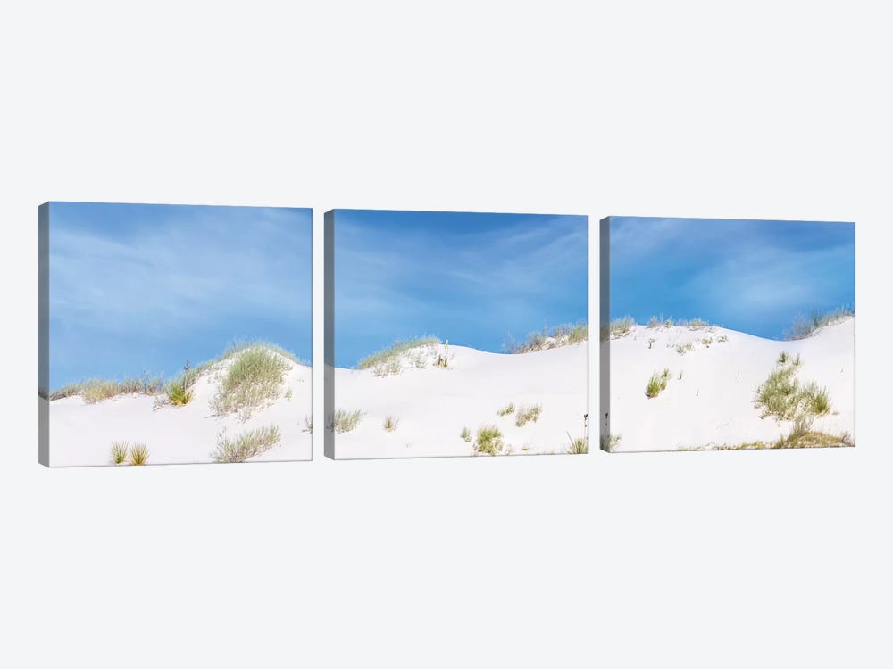 White Sands Gorgeous Panoramic View by Melanie Viola 3-piece Art Print