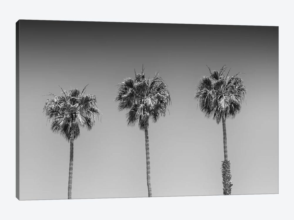 Minimalistic Palm Trees | Monochrome by Melanie Viola 1-piece Art Print