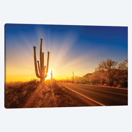 Saguaro National Park Setting Sun Canvas Print #MEV360} by Melanie Viola Canvas Art Print