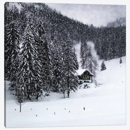 Bavarian Winters Tale IX Canvas Print #MEV382} by Melanie Viola Canvas Art Print