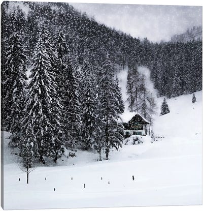 Bavarian Winters Tale IX Canvas Art Print - Snow Art