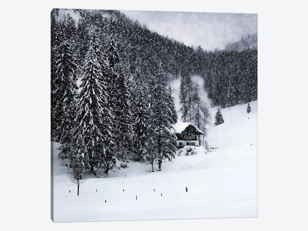 Bavarian Winters Tale IX by Melanie Viola 1-piece Canvas Wall Art