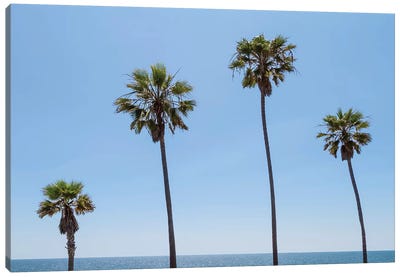 Palm Trees By The Sea Canvas Art Print