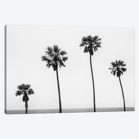 Palm Trees By The Sea | Monochrome Canvas Print #MEV398} by Melanie Viola Canvas Artwork